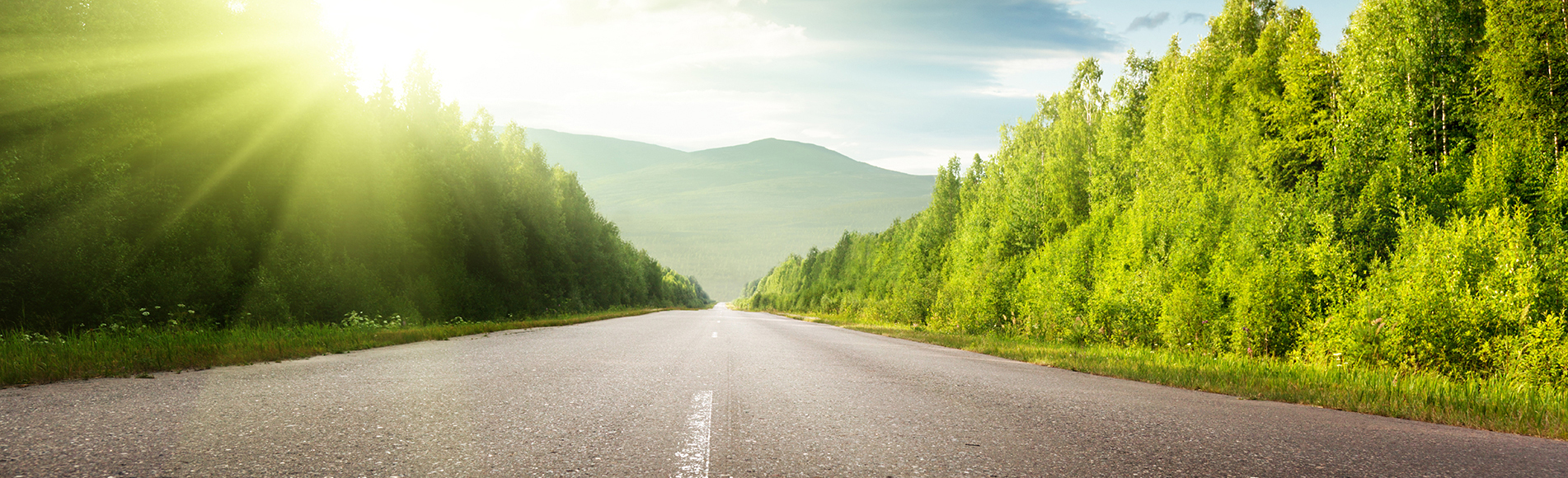 分析型天平PTX-FA系列